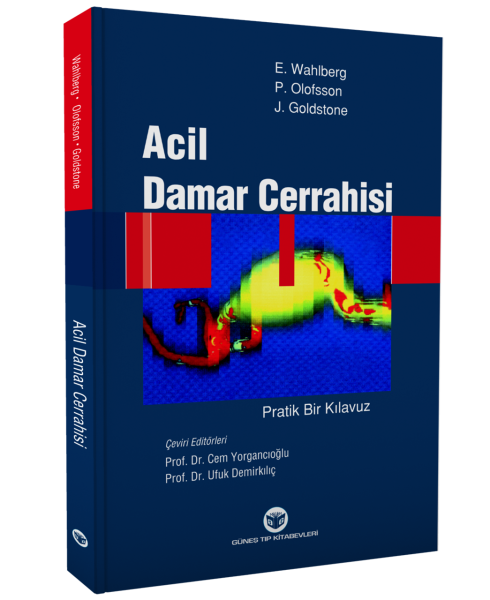 Acil Damar Cerrahisi Pratik Bir Kılavuz