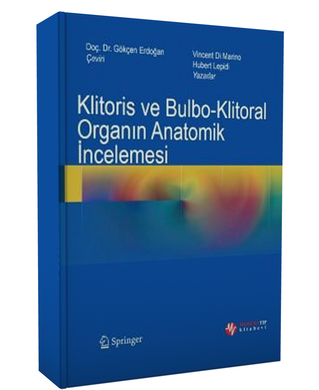 Klitoris ve Bulbo-Klitoral Organın Anatomik İncelemesi