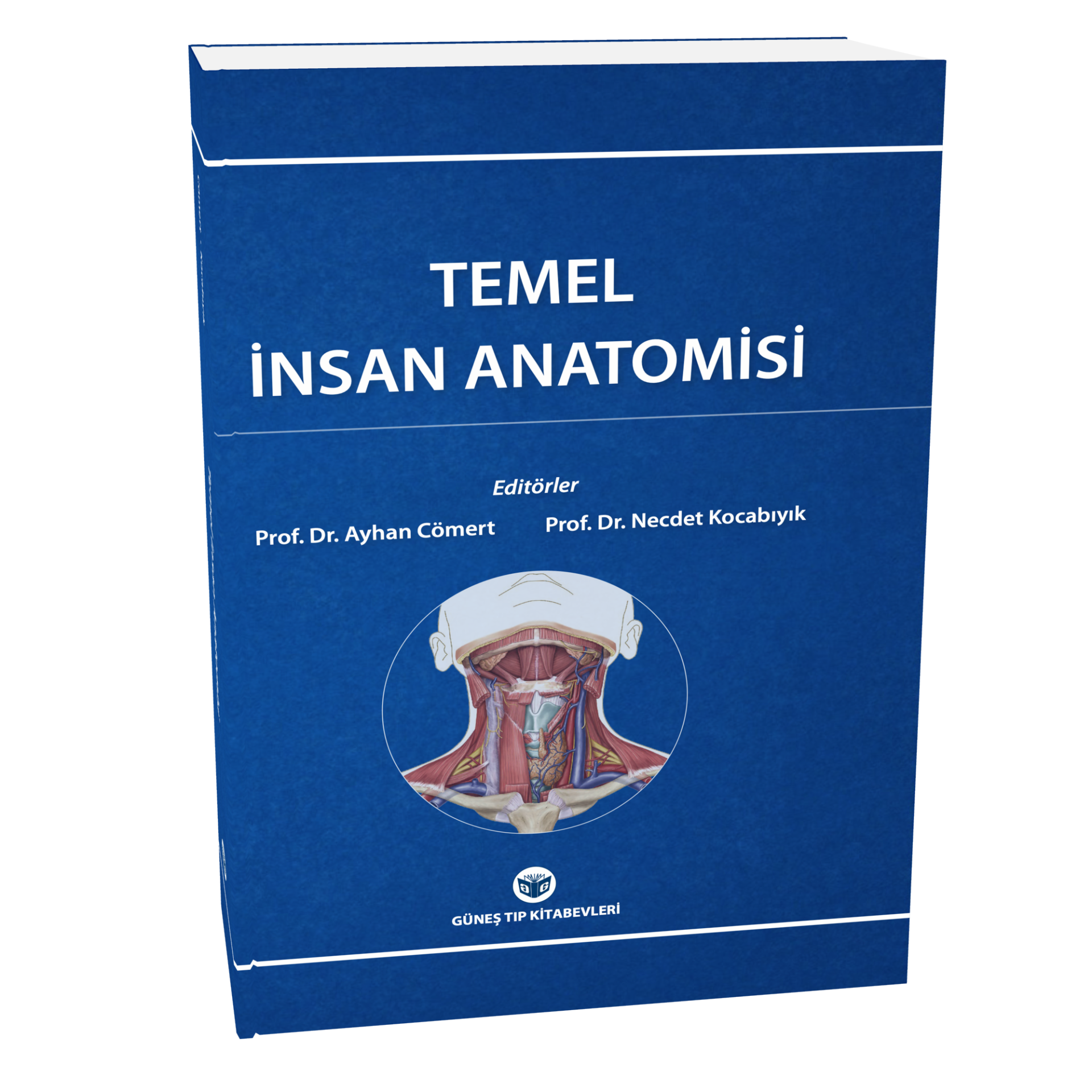 Temel İnsan Anatomisi