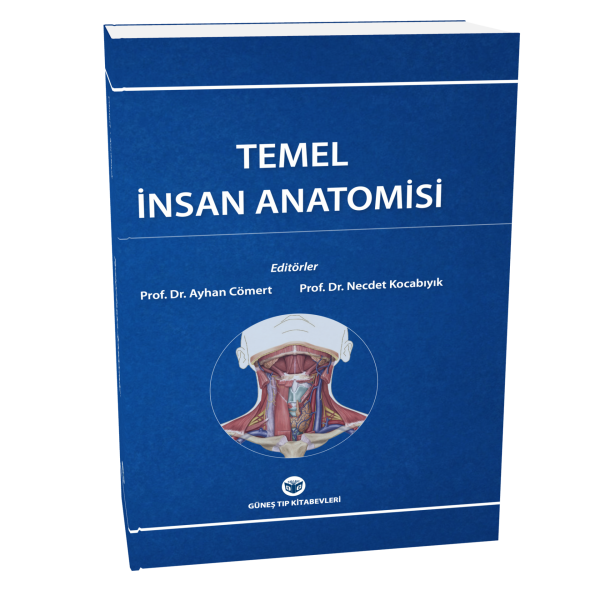 Temel İnsan Anatomisi