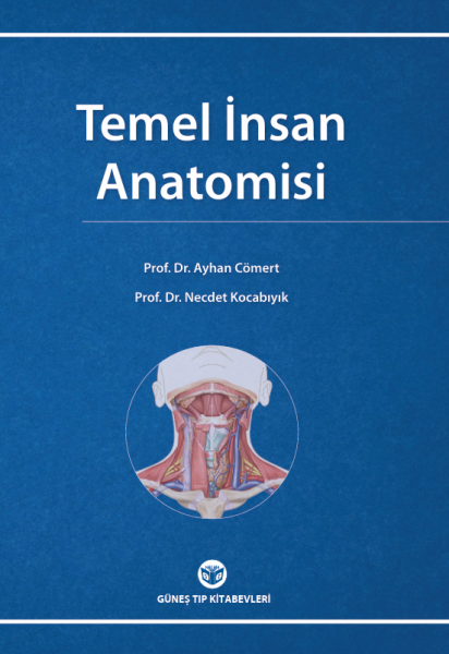 Temel İnsan Anatomisi