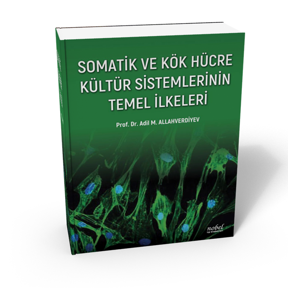 Somatik ve Kök Hücre Kültür Sistemlerinin Temel İlkeleri