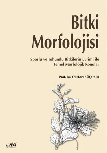 Bitki Morfolojisi: Sporlu ve Tohumlu Bitkilerin Evrimi ile Temel Morfolojik Konular