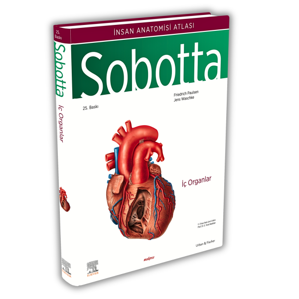 Sobotta İnsan Anatomisi Atlası Seti 4 Cilt ( 25. En Son Baskı - Türkçe 13. En Son Baskı)