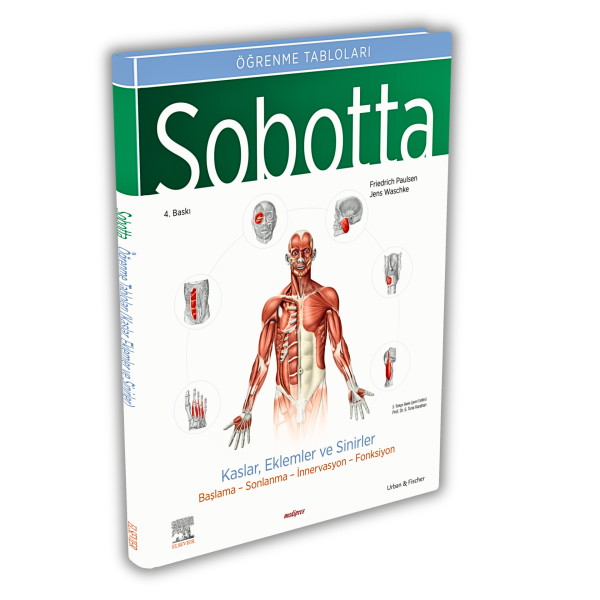 Sobotta İnsan Anatomisi Atlası Seti 4 Cilt ( 25. En Son Baskı - Türkçe 13. En Son Baskı)