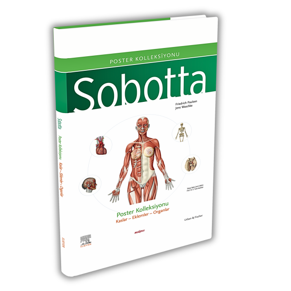 Sobotta İnsan Anatomisi Atlası Seti 4 Cilt ( 25. En Son Baskı - Türkçe 13. En Son Baskı)