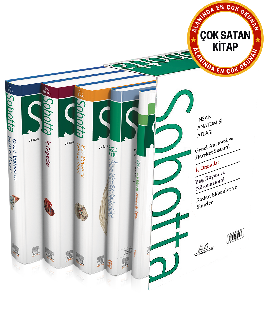 Sobotta İnsan Anatomisi Atlası Seti 4 Cilt ( 25. En Son Baskı - Türkçe 13. En Son Baskı)