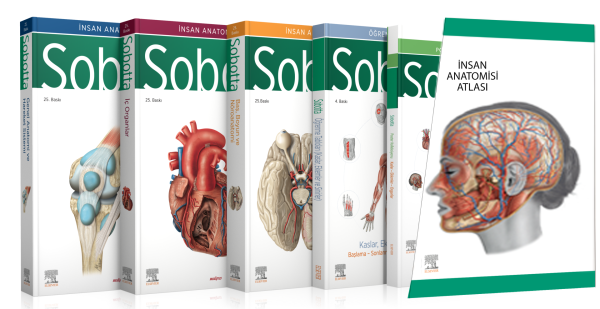 Sobotta İnsan Anatomisi Atlası Seti 4 Cilt ( 25. En Son Baskı - Türkçe 13. En Son Baskı)